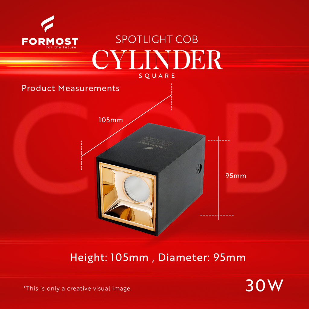 30W Spotlight COB Cylinder Square